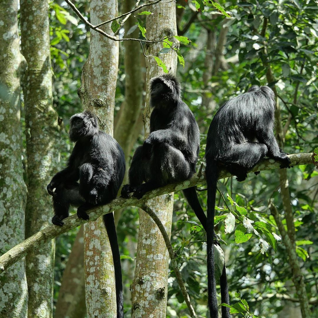 Selong Belanak Lombok