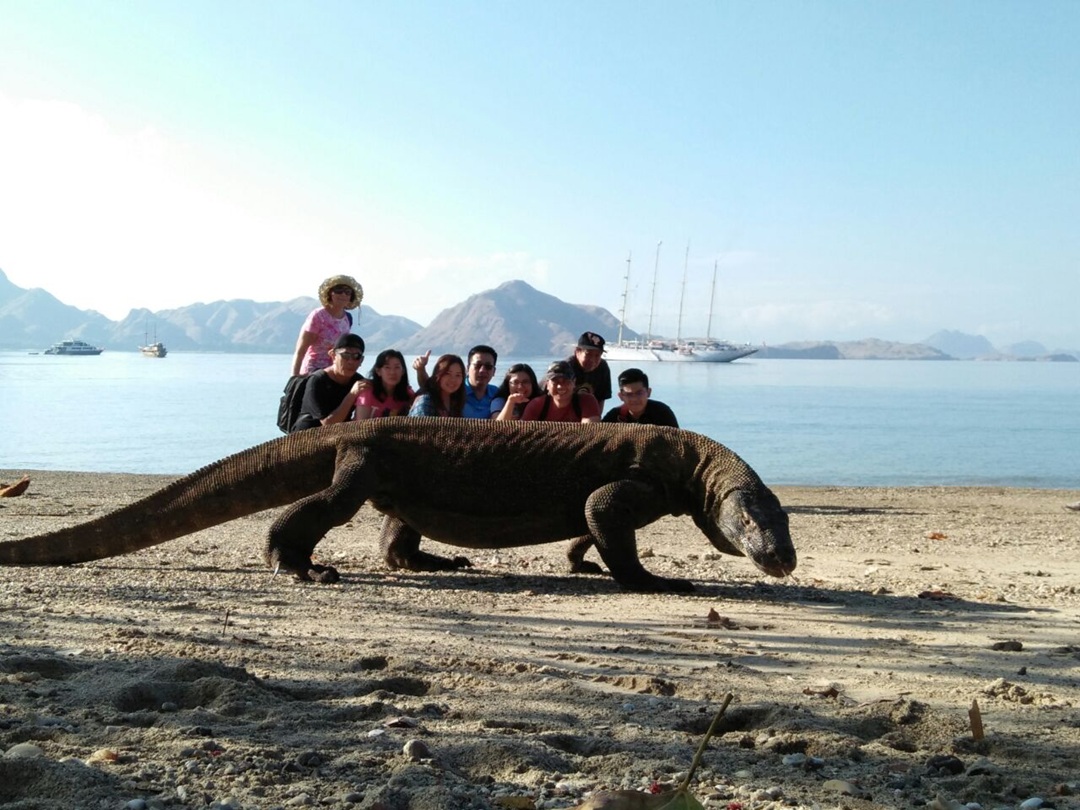 Tour Komodo
